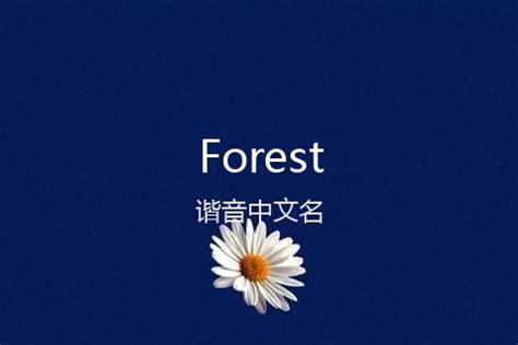 Forest[福雷斯塔,福雷斯特]的中文翻译及英文名意思-在线翻译网