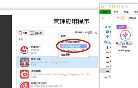如何使用iMazing恢复游戏存档-iMazing中文网站