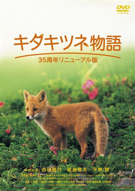狐狸的童话,狐狸的童话简,狐狸的童话故事(第3页)_大山谷图库