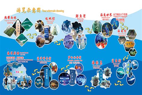2021西安曲江海洋极地公园表演时间表及营业时间_旅泊网