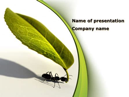 PPT – ANT COLONY OPTIMIZATION PowerPoint presentation | free to ...
