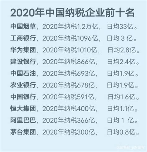 2020年中国纳税企业前十名_风闻