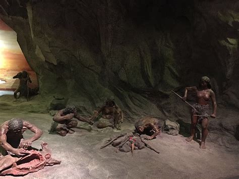 疯狂原始人1:原始人咕噜一家六口在老爸Grug的庇护下生活，在山洞里生活着_腾讯视频