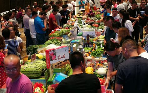 2018全国百家知名蔬菜销售商走进宁夏_宁夏回族自治区农业农村厅