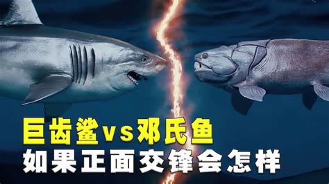 称霸比恐龙还早1亿年的邓氏鱼：以鲨鱼为食，咬合力可达5吨！|邓氏|鲨鱼|恐龙_新浪新闻