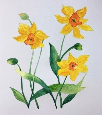 国画教程：各种水仙花的画法_步骤