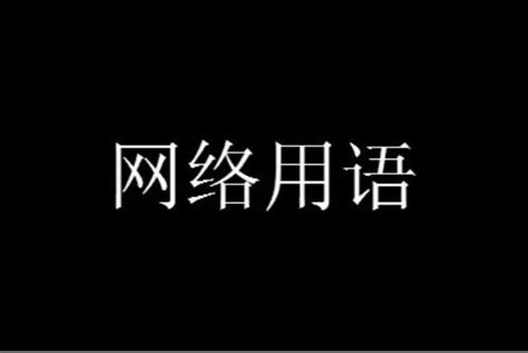 11是什么意思网络用语（11是什么意思）-图钉科技网