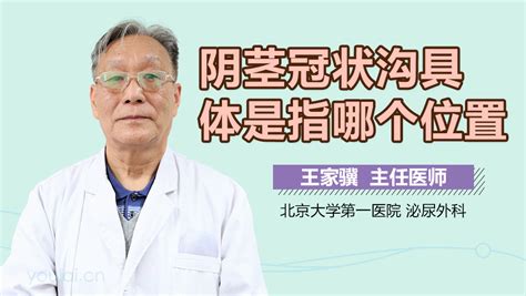男性正常龟头图片