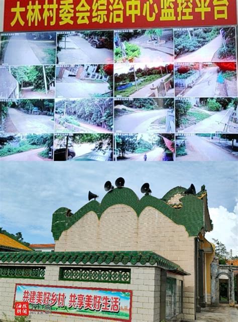 罗山县灵山镇的“多彩稻田”已进入观赏期-信阳日报-图片