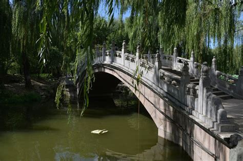 万园之园——圆明园-北京旅游攻略-游记-去哪儿攻略