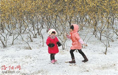 浪漫“雪之恋” 细数洛阳赏雪好去处_新闻中心_洛阳网