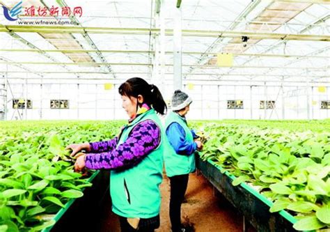 补齐发展短板促进农民增收 - 图片新闻 - 潍坊新闻网