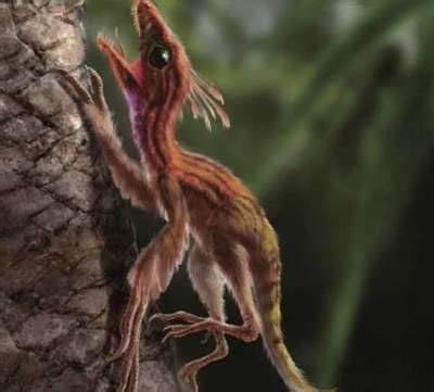 化石揭示侏罗纪最小的蜥脚类恐龙 - 神秘的地球 科学|自然|地理|探索