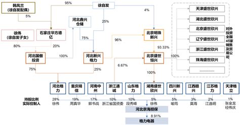 公司股权架构图图片
