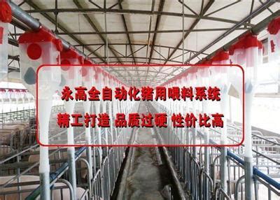 自动化养猪设备【价格 批发 公司】-大石桥市鑫顺畜牧机械设备有限公司