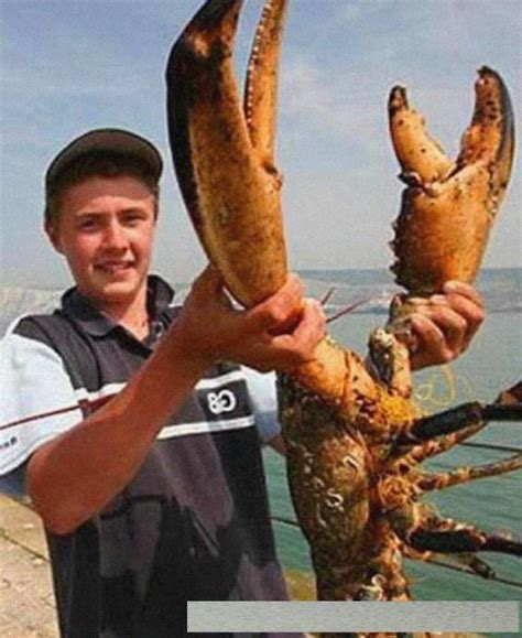 世界上最大的“龙虾王”：1米多长，重20公斤，能存活100年！