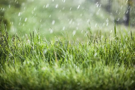 毛雨图片
