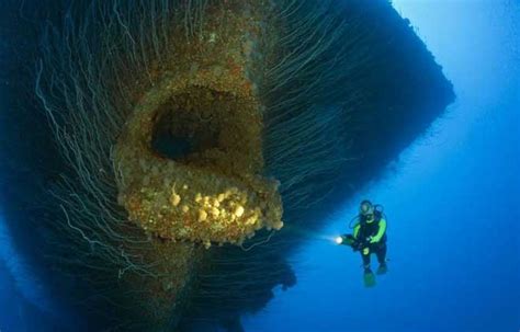 深海一万米到底有多什么？科学家：海底的生物足够吓退人类！|海底|人类|深海_新浪新闻