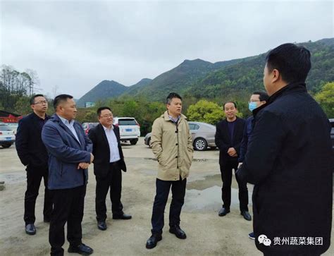 瓮安县及蔬菜集团领导一行赴瓮安公司就基地建设情况展开调研考察