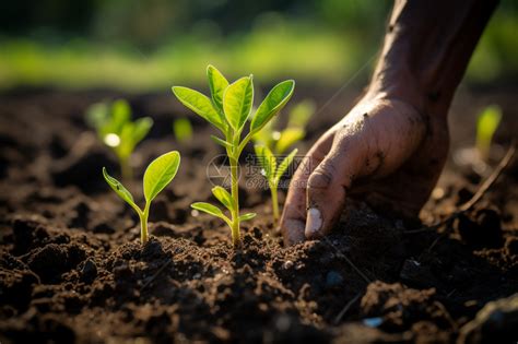 田园土壤种植土泥土优质种菜专用土自然泥土种树营养土栽树泥巴土-淘宝网