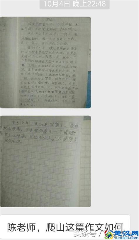 写日记的格式_小学生写日记的格式_淘宝助理