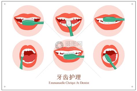 牙齿护理健康刷牙步骤插画图片下载-正版图片401796405-摄图网