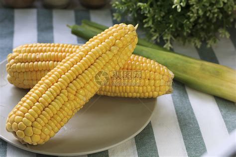 玉米特写图片-鲜嫩的玉米素材-高清图片-摄影照片-寻图免费打包下载