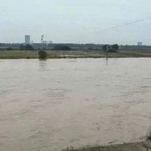 黄河出现今年第3号洪水！山东段大流量过程将持续……_东平湖