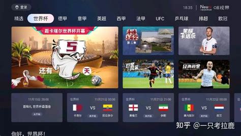 2022年卡塔尔世界杯怎么看？投影仪、电视、手机看世界杯直播方法汇总 - 知乎