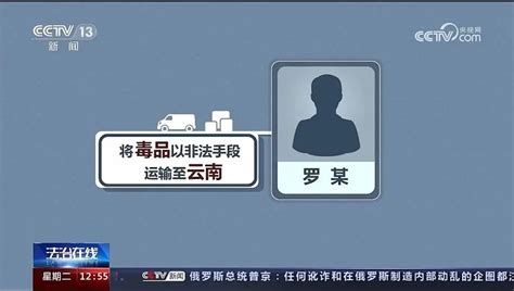 安庆破获特大走私、贩毒案 抓获涉毒犯罪嫌疑人42名凤凰网安徽_凤凰网