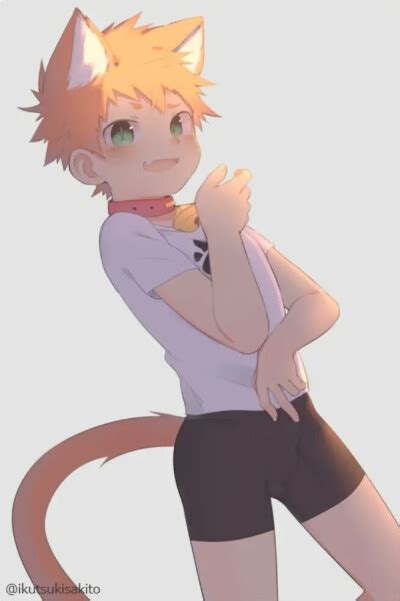 猫耳正太图片