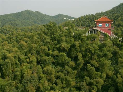武汉园林院五项目荣获2020年中国风景园林学会科学技术奖_武汉市园林建筑规划设计院