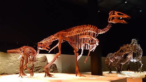 BBC纪录片《恐龙·最后一日》上线 讲述“恐龙时代的最后几天” - 化石网