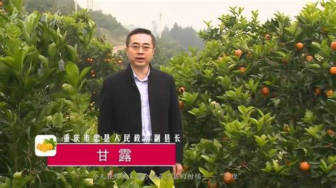 忠县人民政府副县长甘露推介忠县柑橘“忠橙”_腾讯视频