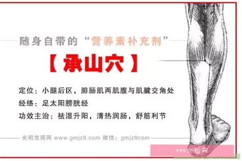 承山的准确位置图图片