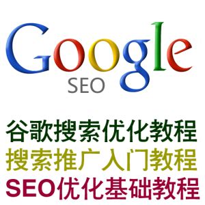 谷歌seo零基础视频教程下载 – 我要小项目