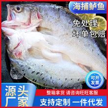 好消息！加州鲈量价齐升，多地收购价格涨幅超1元/斤_鱼类专题（加州鲈专题）_水产养殖网