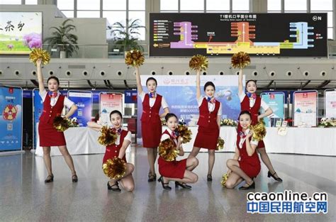 成都双流国际机场2019年春运保障旅客660万人次 - 民用航空网