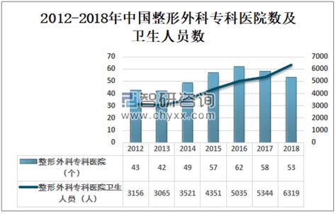 美容整形市场分析报告_2018-2024年中国美容整形市场调查与投资前景预测报告_中国产业研究报告网
