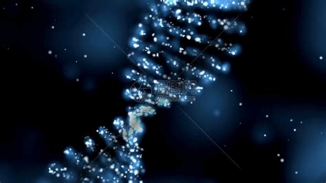独特的三螺旋DNA|DNA分子|螺旋|碱基_新浪新闻