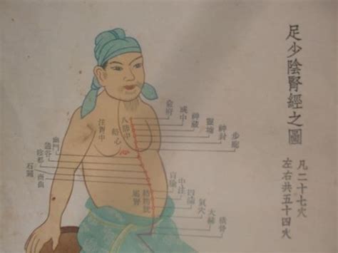肾经的准确位置图图片