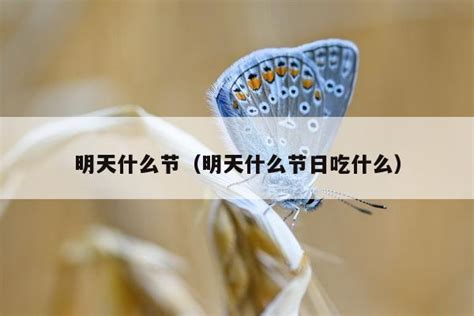 金融项目导师高峰 的想法: 今天很残酷，明天更残酷，后天很美好，但… - 知乎