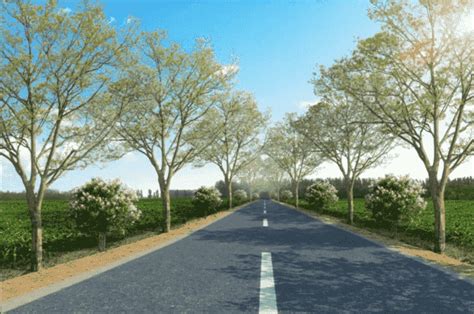 农村道路改造效果图制作|路景设计网