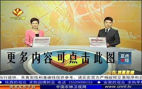 国投罗钾携手农林卫视《中国农资秀》走进北京平谷——“桃”宝 - 知乎