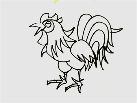 儿童画教程：教你画一只大公鸡-露西学画画