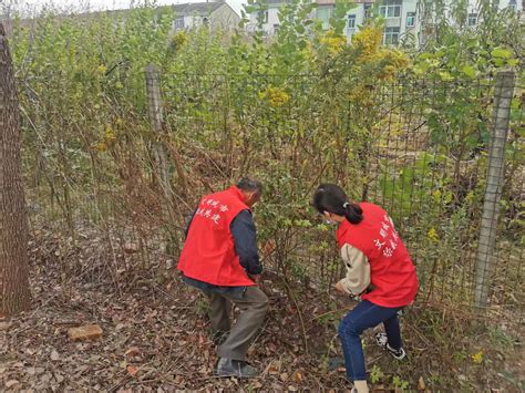 马山街道：清洁乡村不停歇 优化环境焕新颜