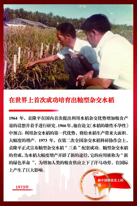 杂交稻中国约85亿亩,可多养活约8000万人口_凤凰网视频_凤凰网