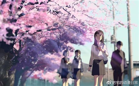梦野幻太郎|香坂神利的樱花花瓣插画图片 | BoBoPic