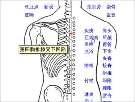 巨阙的准确位置图图片