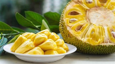 菠萝蜜有什么营养和功效 - 吃菠萝蜜的7大禁忌 - 知乎